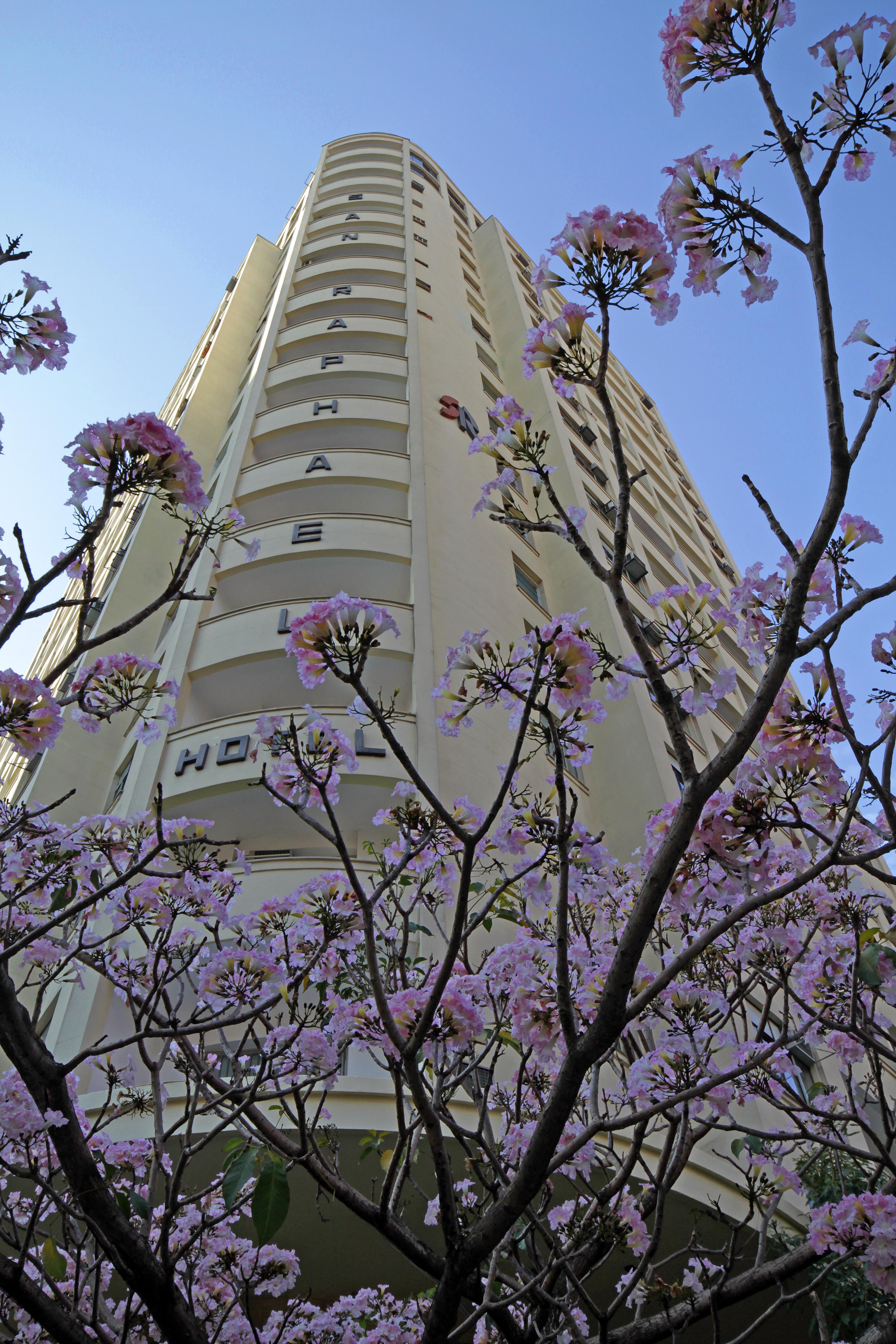 סאו פאולו San Raphael Hotel מראה חיצוני תמונה